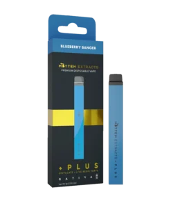 Blueberry Banger +Plus Disposable Vape
