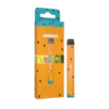 Fruityz +Plus Disposable Vape
