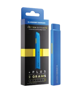 Blueberry Banger +Plus Disposable Vape 2g