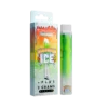 Watermelon Ice +Plus Disposable Vape 2g